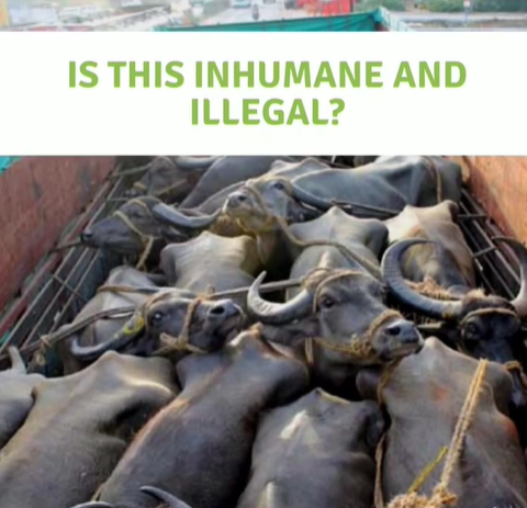 Encouraging Ethical and Responsible Sourcing