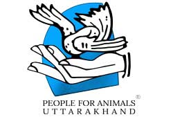 People For Animals Logo